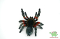 Preview: Bullyland Vogelspinne 68453